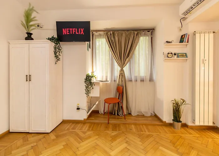 شقة 2br At Piata Natiunilor Unite: Perfect For Center *